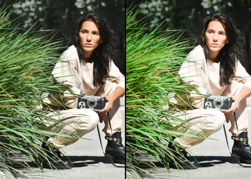 Paparazzi Lightroom Presets